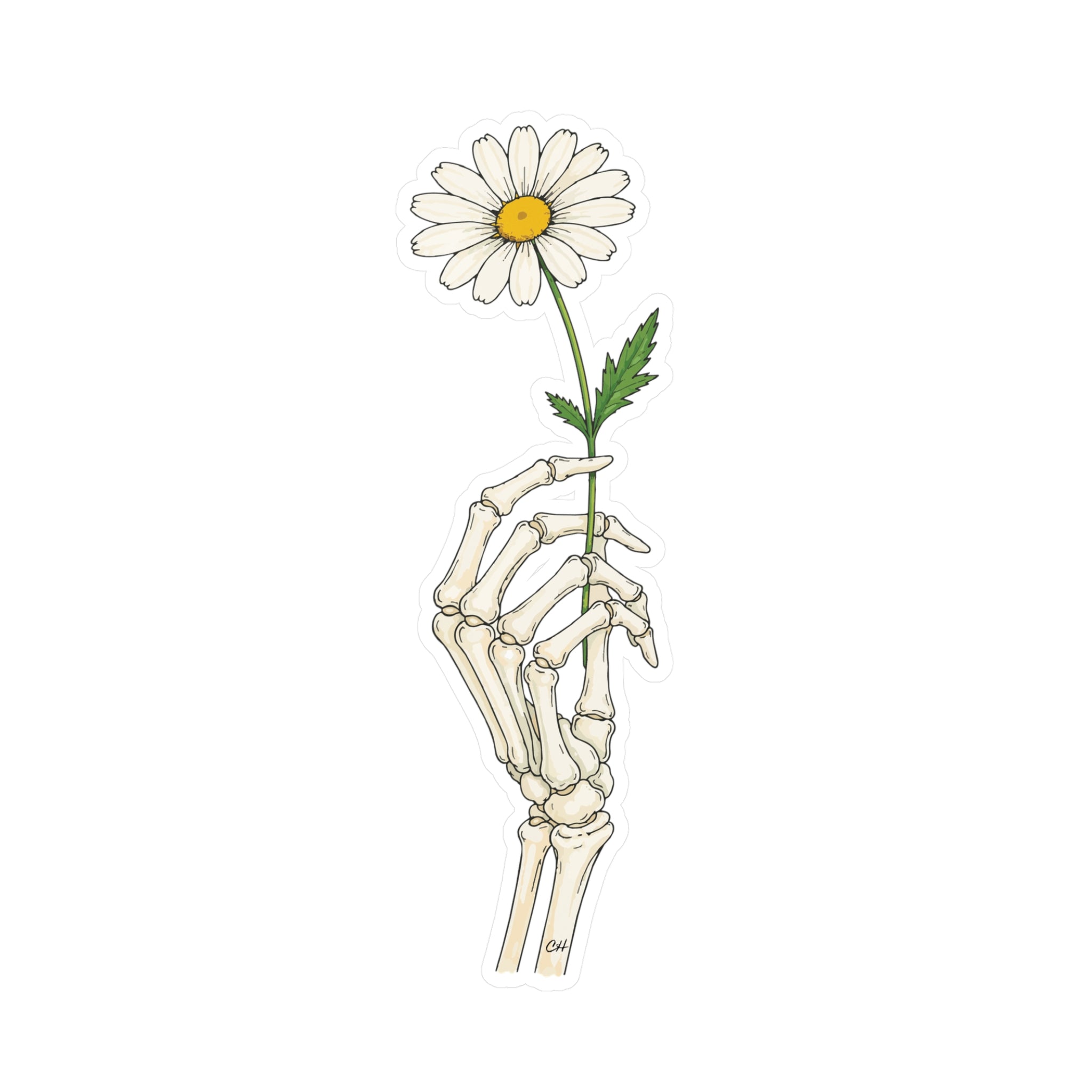 Skeleton Hand Daisy Sticker – Kiss-Cut Vinyl Decal