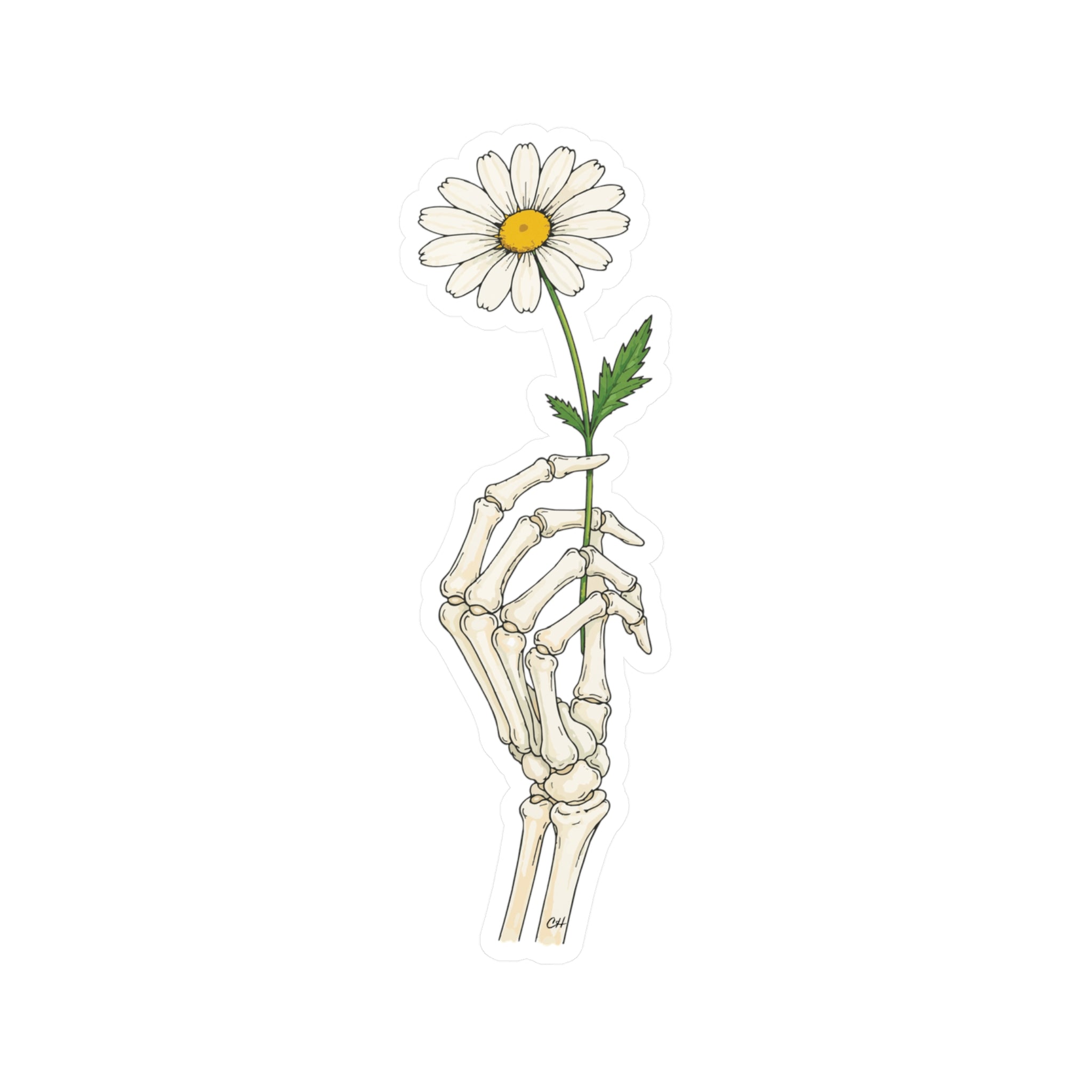 Skeleton Hand Daisy Sticker – Kiss-Cut Vinyl Decal